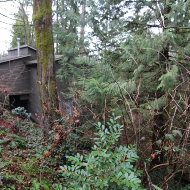 Photo 4 at 626 W 22nd Street, Mosquito Creek, North Vancouver