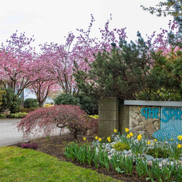 Photo 39 at 250 Waterleigh Drive, Marpole, Vancouver West