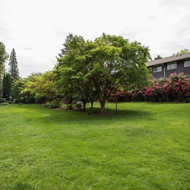 Photo 31 at 805 - 555 W 28th Street, Upper Lonsdale, North Vancouver